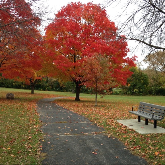 Meet your Posher Linda! - Picture 6 of 16